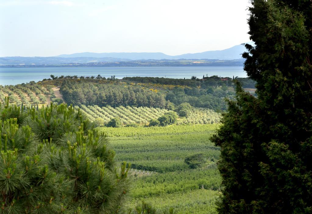 Agriturismo San Severo Βίλα Passignano sul Trasimeno Εξωτερικό φωτογραφία